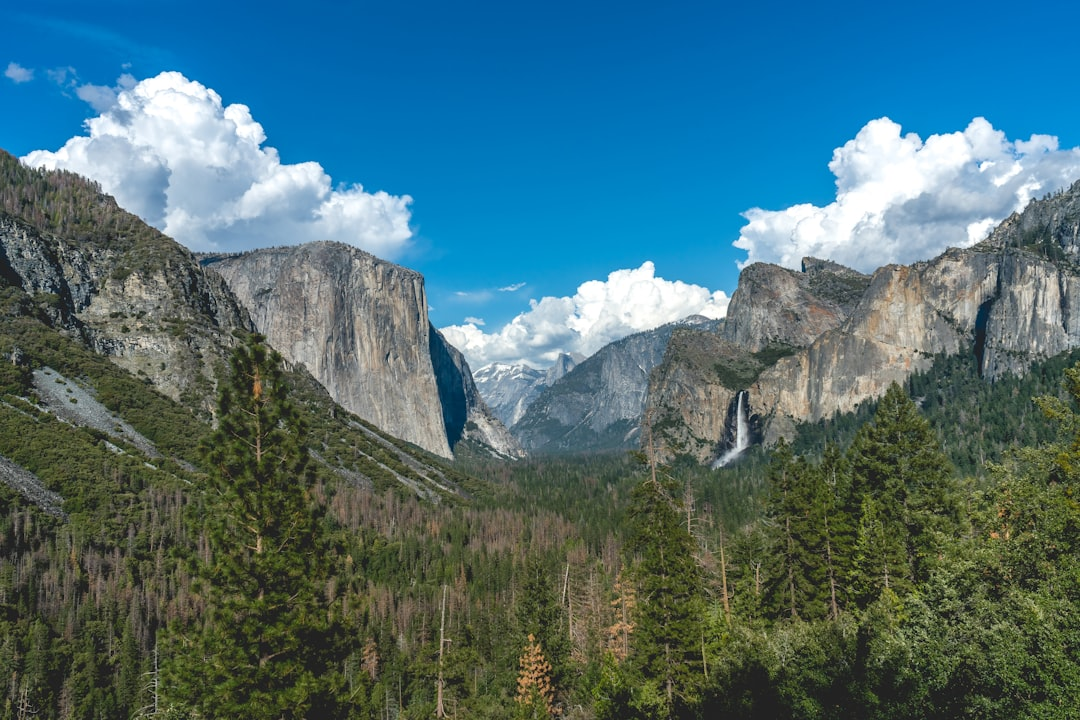 Yosemite National Park Hiking Trails Guide for All Skill Levels