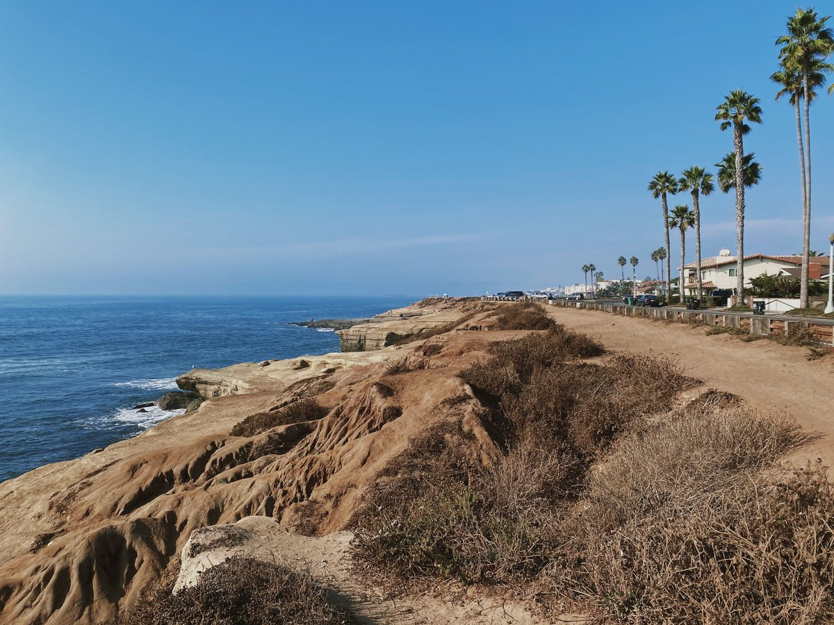 Best Beaches in San Diego Guide for Sun, Surf, and Family Fun