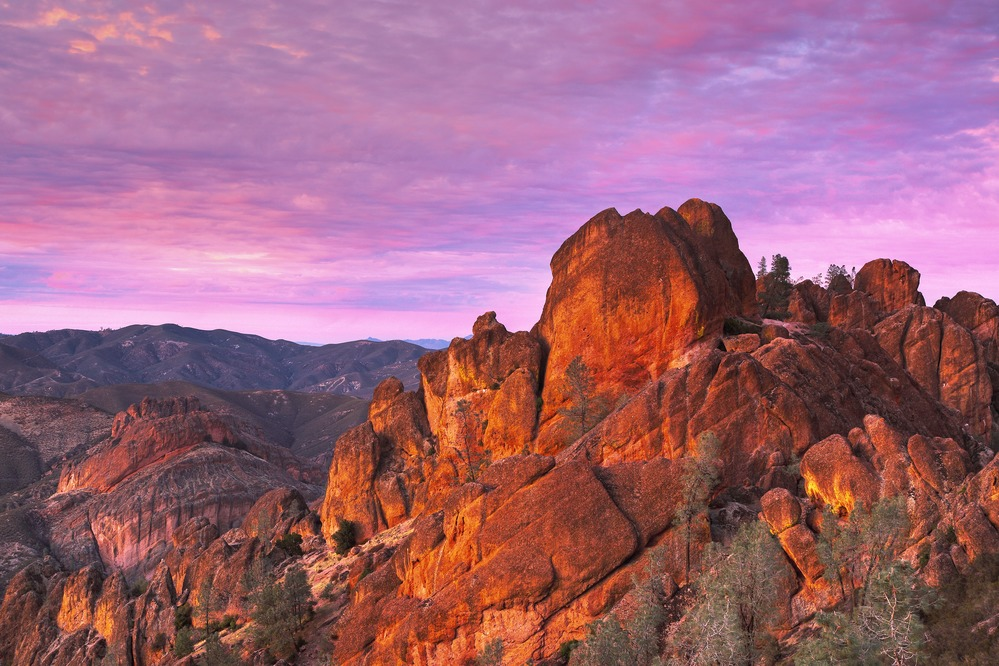 Pinnacles National Park: Condor Viewing & Cave Closures Guide
