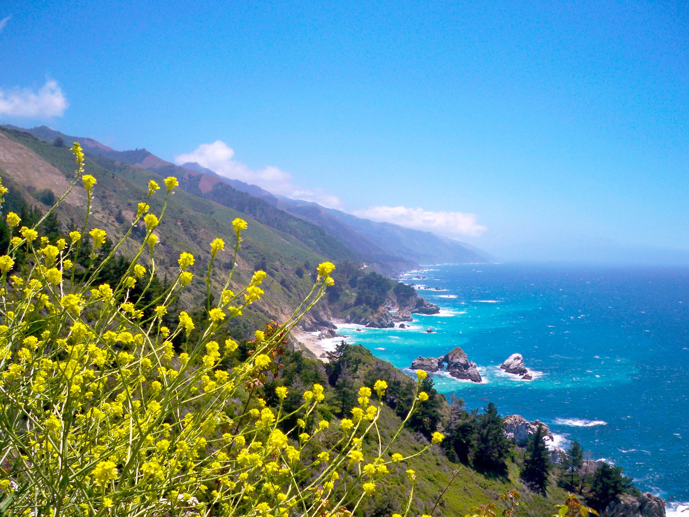 PCH Road Trip: San Francisco to Los Angeles Itinerary (4 Days)