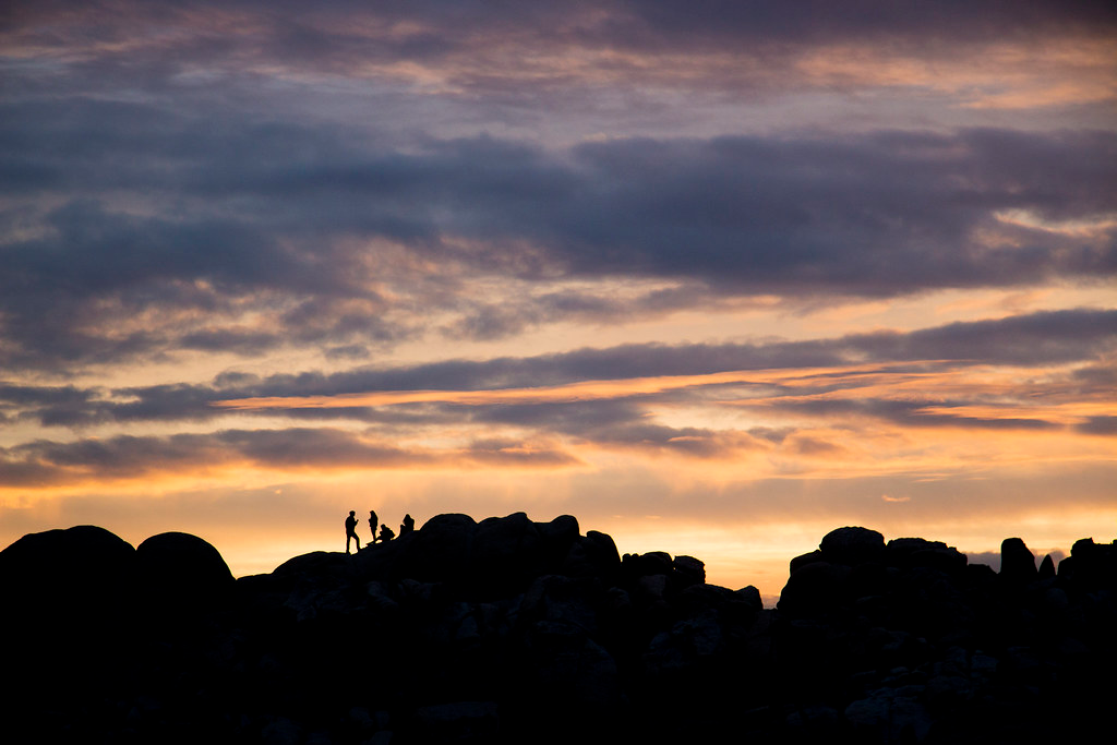Best Day Trips from Palm Springs: Tramway, Joshua Tree & More