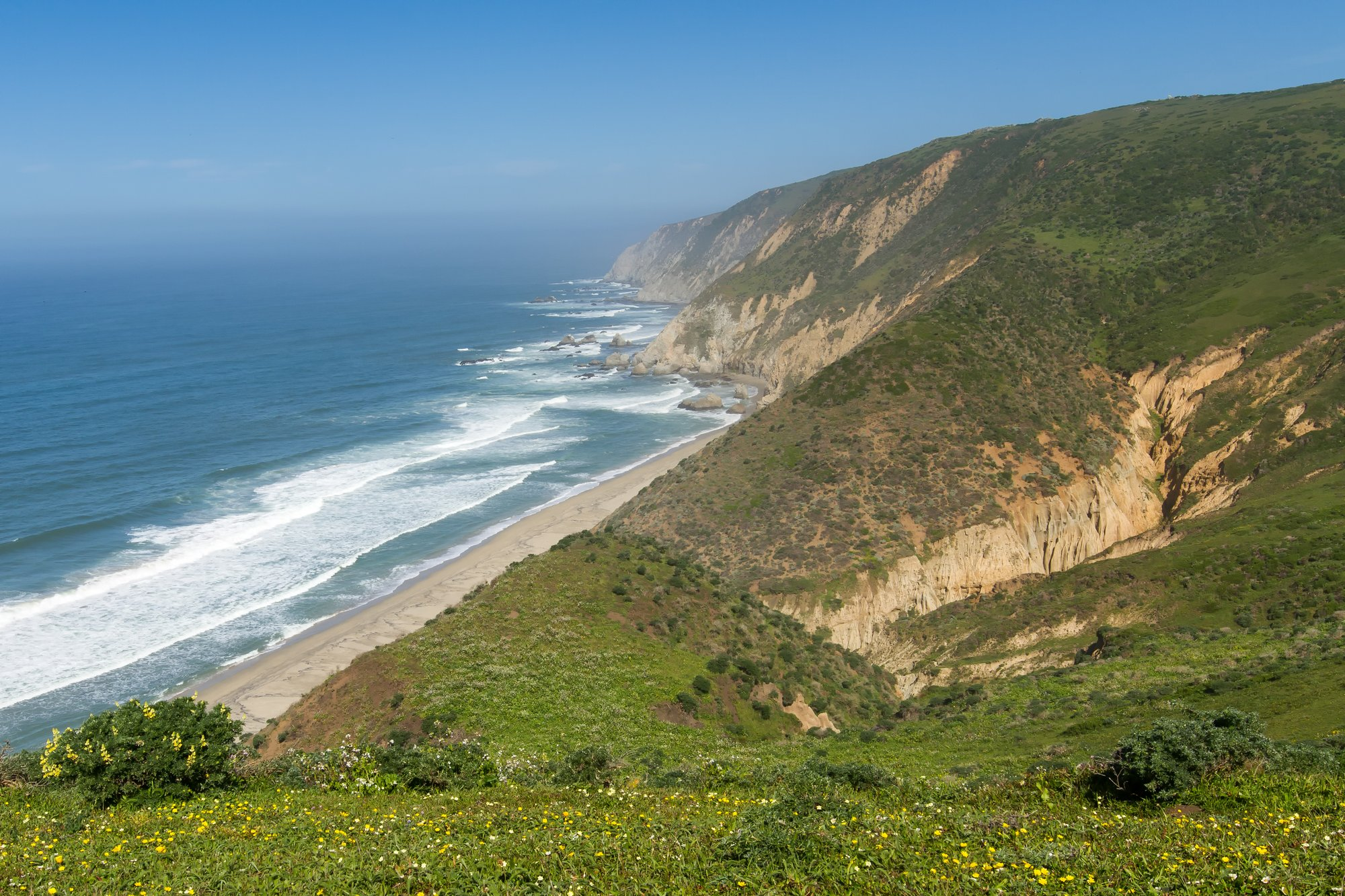 Wide view of dramatic Point Reyes coastal cliffs, a sandy beach, and spring wildflowers under a blue sky