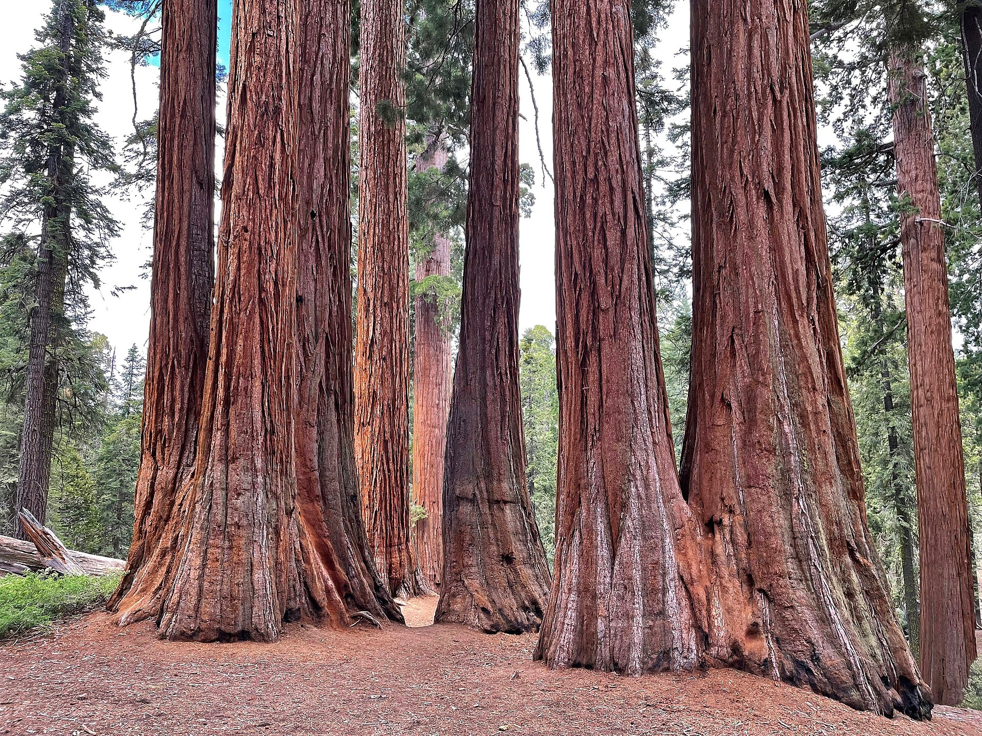 Where to Stay Near Sequoia & Kings Canyon (By Entrance)